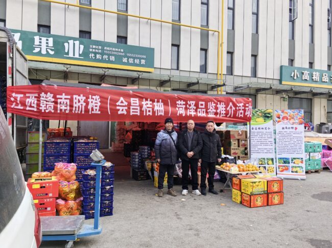 d50a82c3ad7c9c24d8d6d65a6708ee84 d50a82c3ad7c9c24d8d6d65a6708ee84